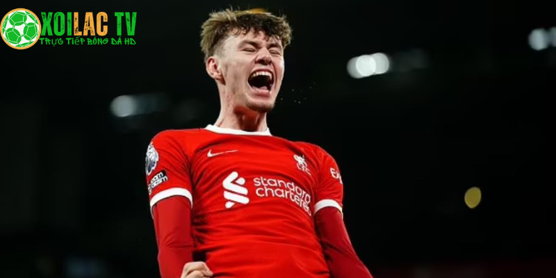 Conor Bradley vắng mặt Conor Bradley vắng mặt