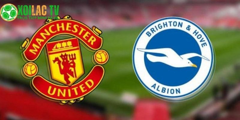 Manchester United đối đầu Brighton Manchester United đối đầu Brighton