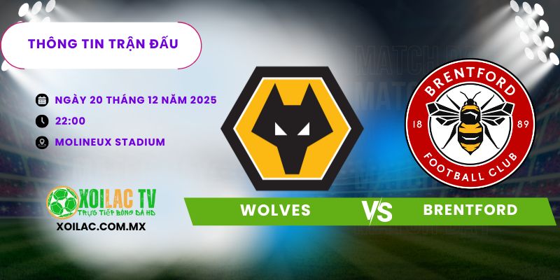 Thông tin trận đấu Wolves vs Brentford Thông tin trận đấu Wolves vs Brentford